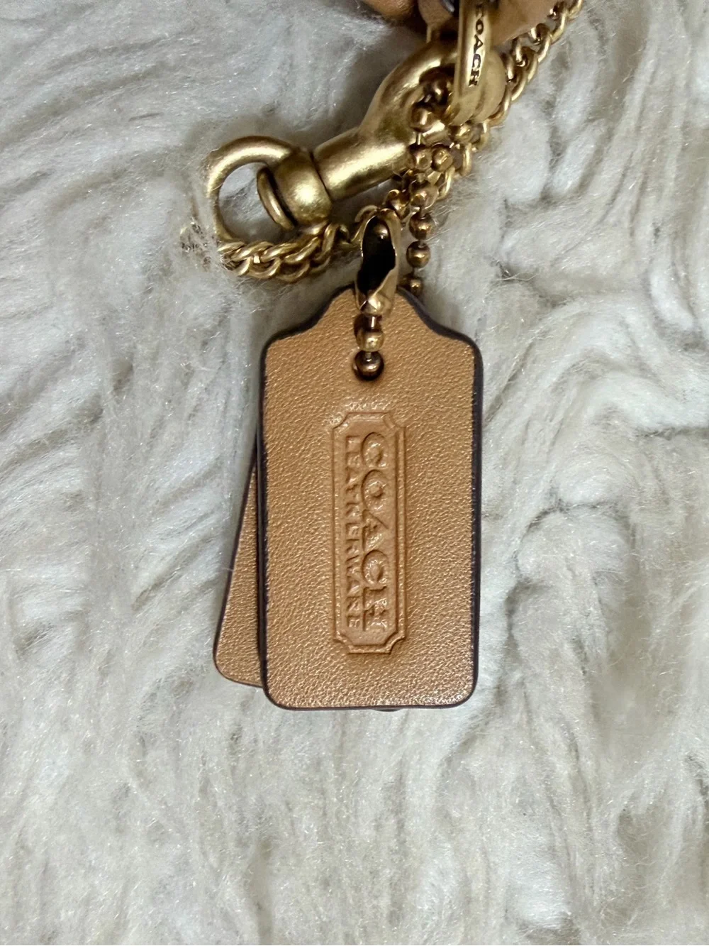 Coach Micro Dinky Bag